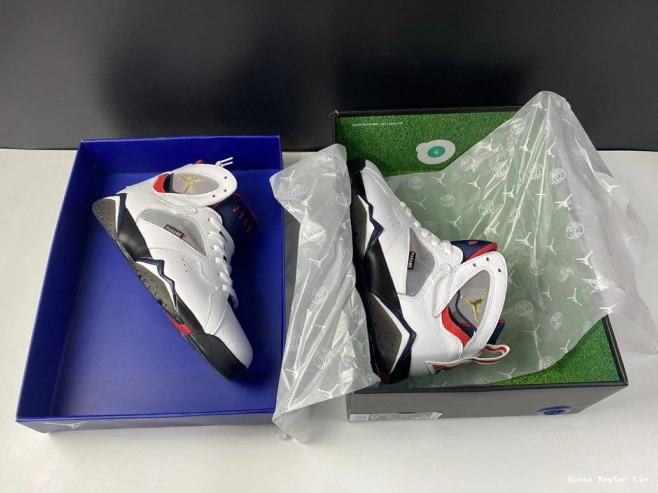 Jordan PSG 7 CZ0789-105 Air 0529